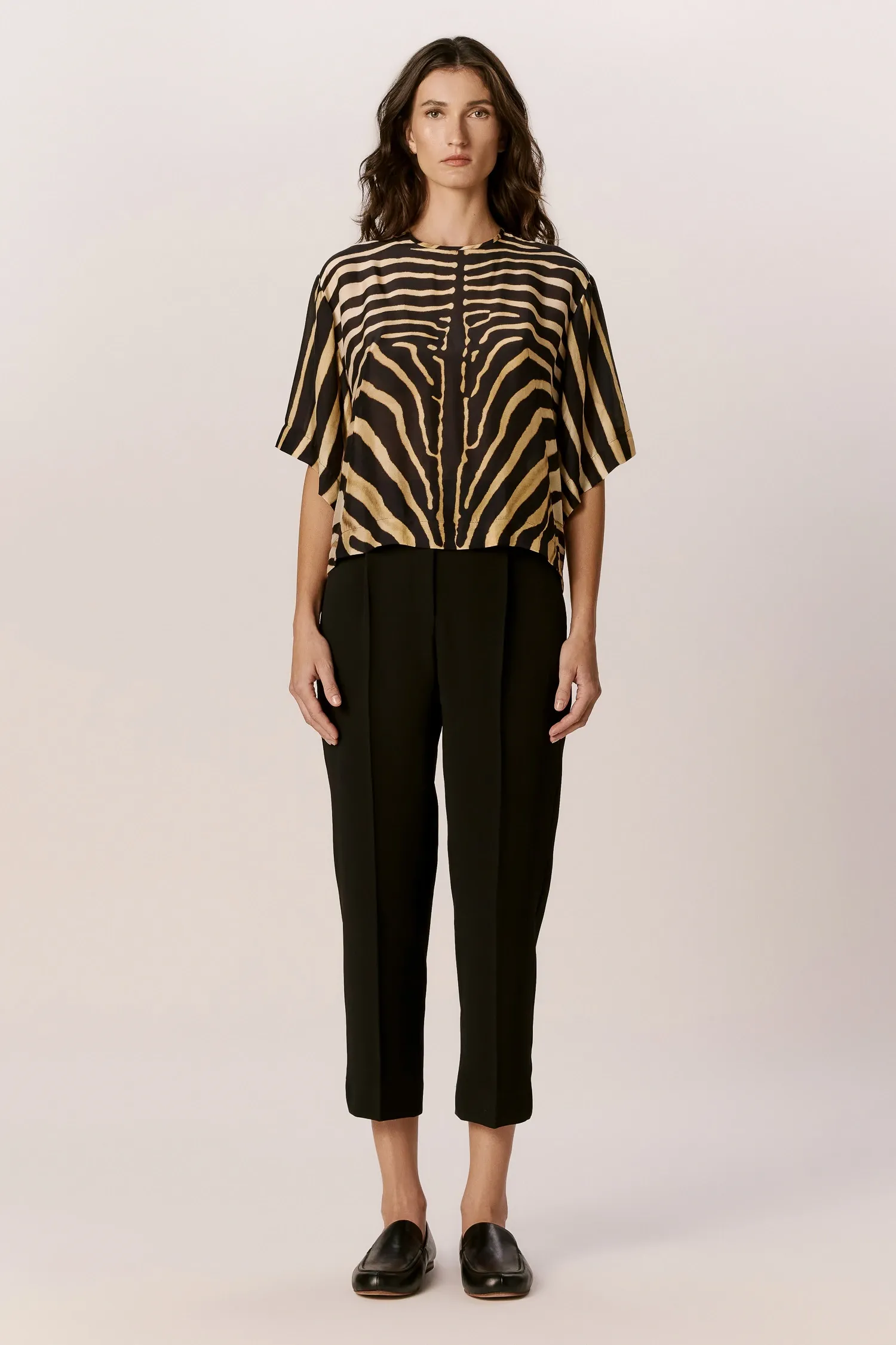 007523_-T-SHIRT-BOX_MANGA-CURTA_AMPLA_ZEBRA_LOCALIZADA_ANDREAMARQUES--2-