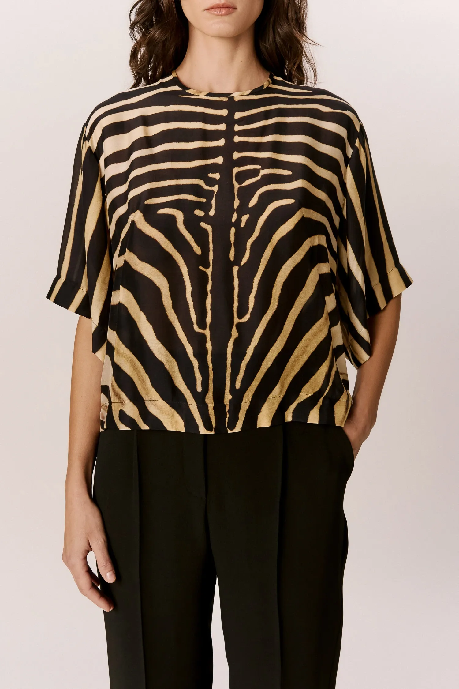 007523_-T-SHIRT-BOX_MANGA-CURTA_AMPLA_ZEBRA_LOCALIZADA_ANDREAMARQUES--4-