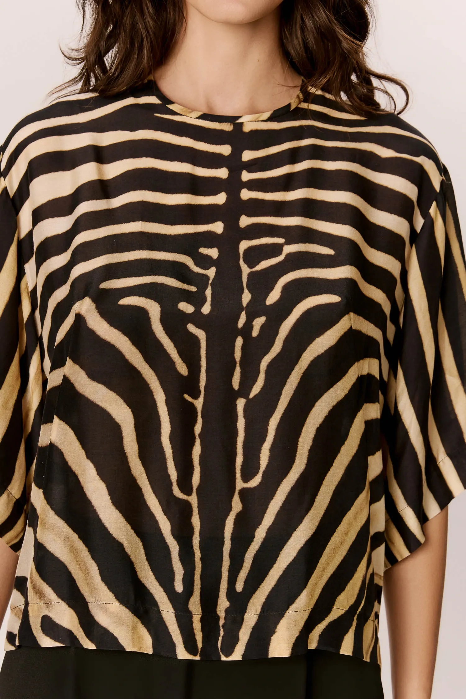 007523_-T-SHIRT-BOX_MANGA-CURTA_AMPLA_ZEBRA_LOCALIZADA_ANDREAMARQUES--5-